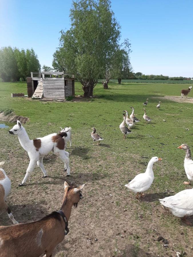 Gite Canard Fromelles Zewnętrze zdjęcie