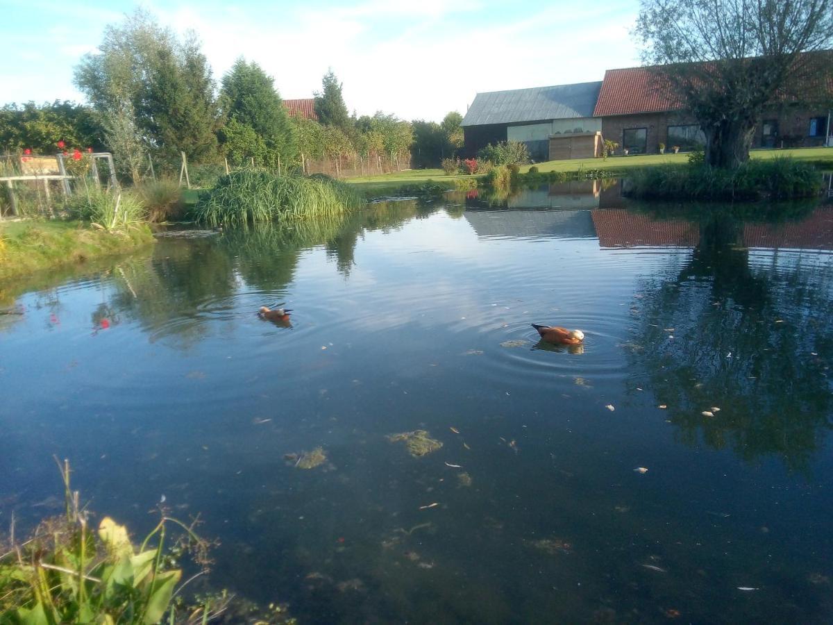 Gite Canard Fromelles Zewnętrze zdjęcie